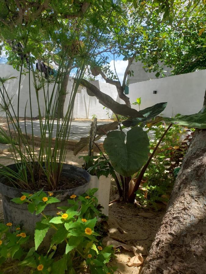 Casa Pipa Bg Hotell Barra Grande  Eksteriør bilde
